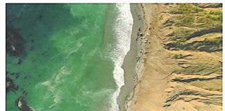 Analog PROcessing of bioinspired VIsion Sensors for 3D reconstruction