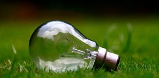 BIOCOMP: Competences in the Biobased Economy