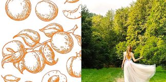 Innovative bridal dresses and baptismal clothes from peace textile with Eco-Consiousness (IBDPTEC)