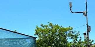 Pilot implementation of the National Reforestation and Upgrading Plan of Public Forest Nurseries