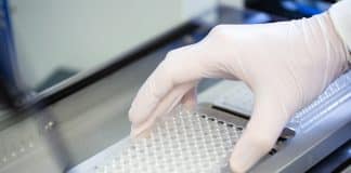 FWD AMR-RefLabCap project