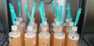 Isolation, Identification & Evaluation of Indigenous Yeast strains