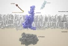 Σχεδιασμός Φαρμάκων με ΤΝ για Θεραπείες Καρκίνου